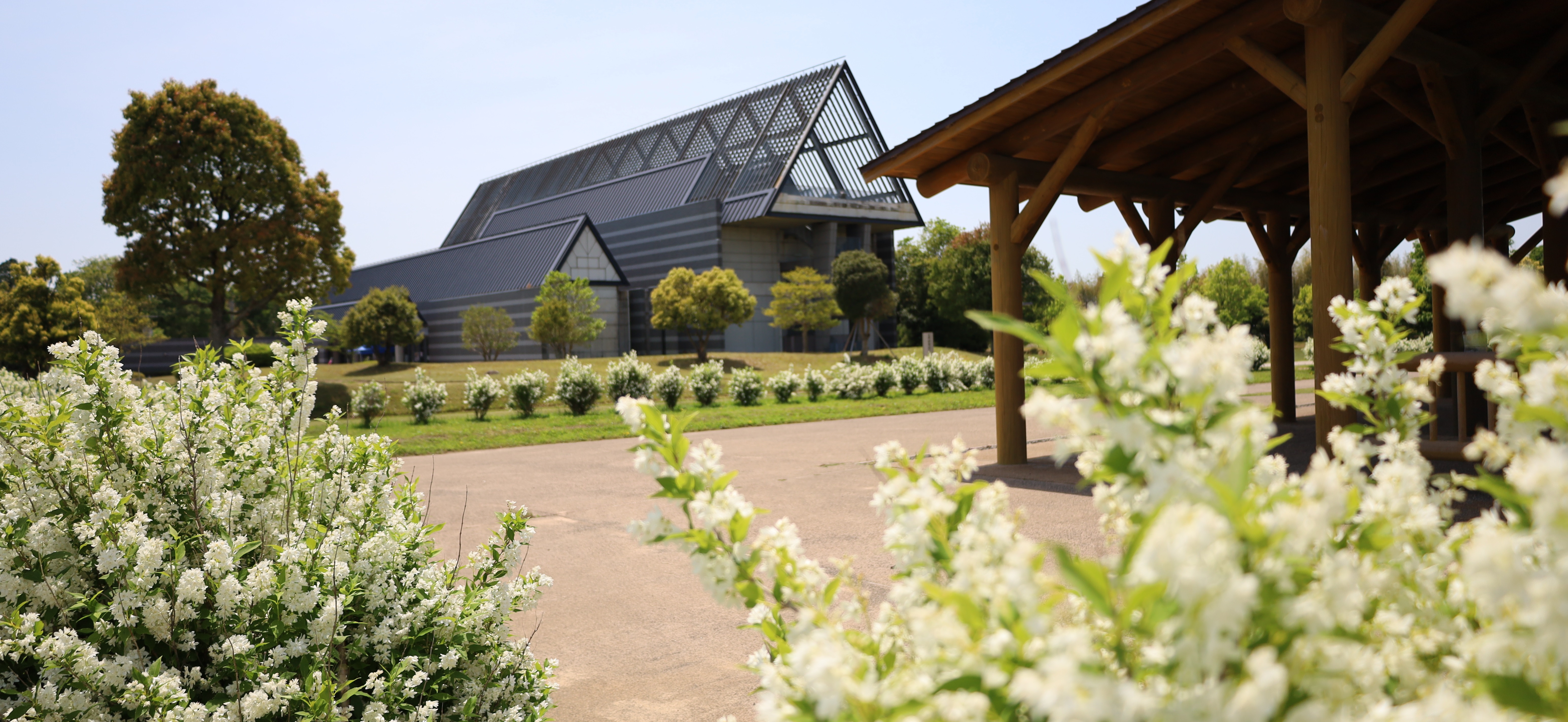 卯の花　考古博物館