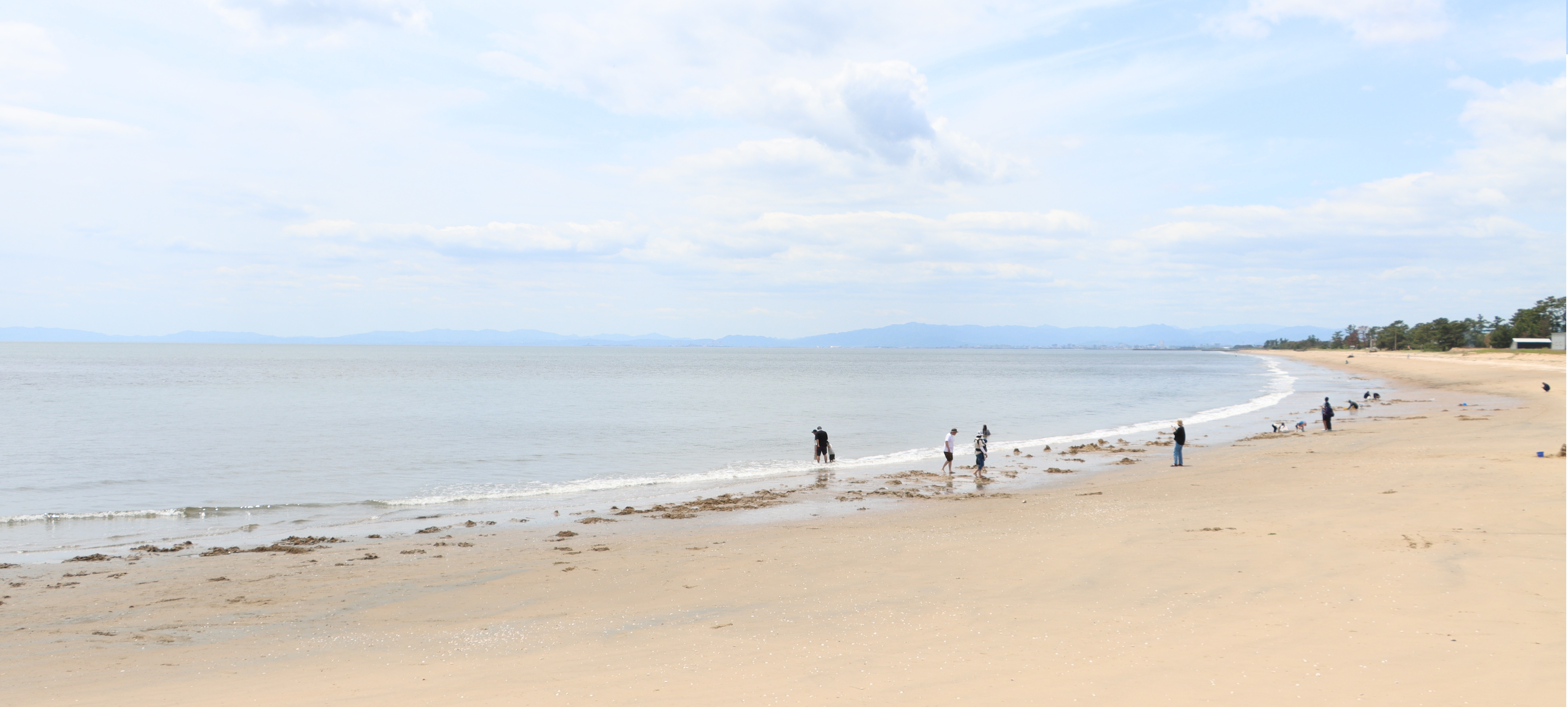 鼓ヶ浦海岸の写真