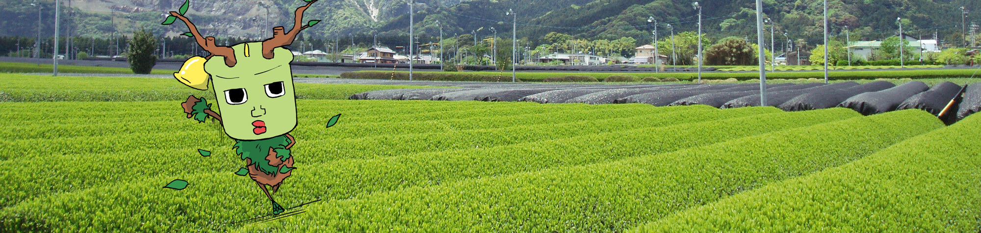 写真：お茶畑とキャラクター（左）