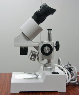 写真：顕微鏡