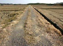 土地改良法による農業用道路の農道の写真