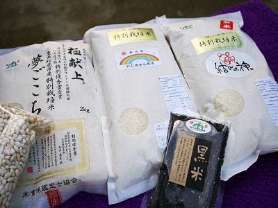 写真：米・黒米・パッカン2