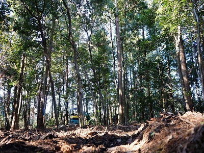 写真：生産地1