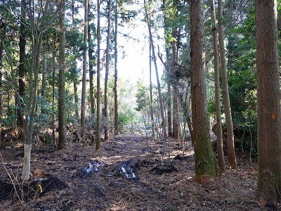 写真：生産地3