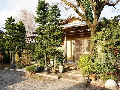 写真：植木