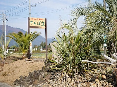 写真：展示場「さんぽ道」看板