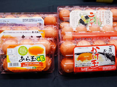 写真：鶏卵