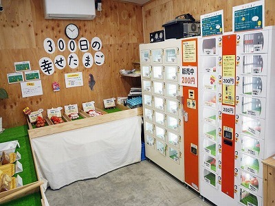 写真：直売所