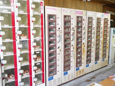 写真：自動販売機1