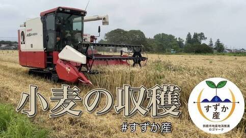 画面：小麦の収穫