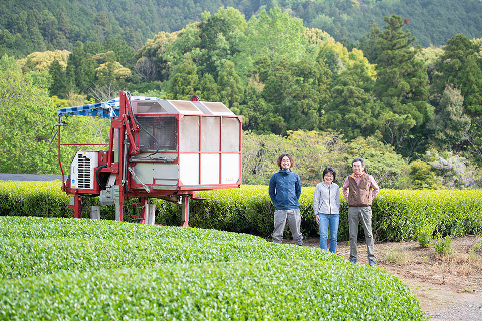 写真：お茶の緑粋園1