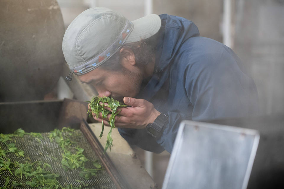 写真：お茶の緑粋園2