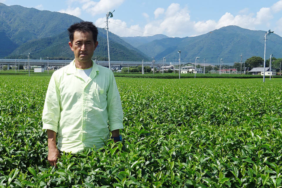 写真：生産者　本郷 正生