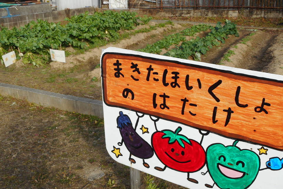 写真：牧田保育所の畑