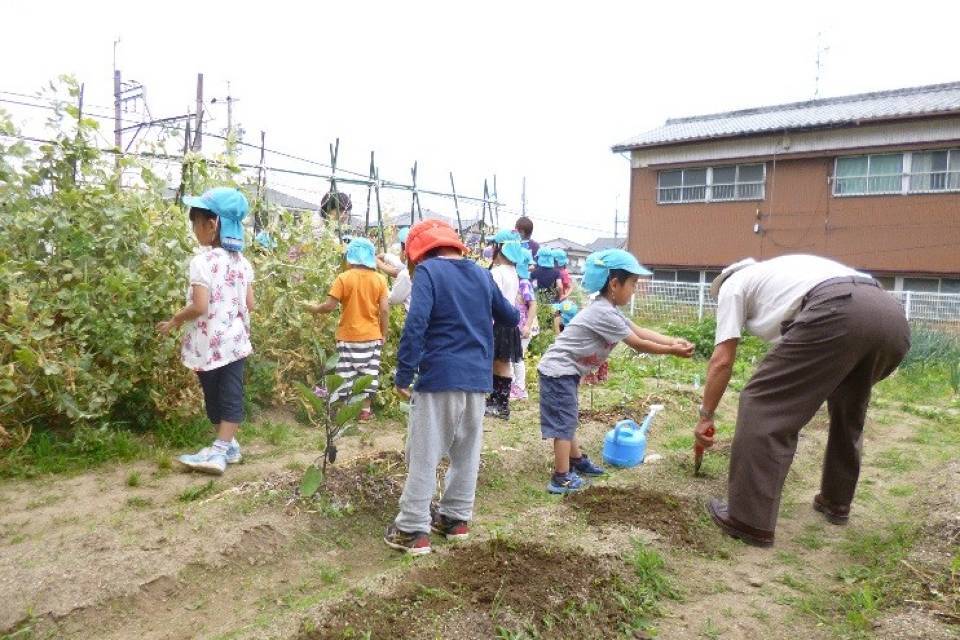 写真：保育所の園庭2