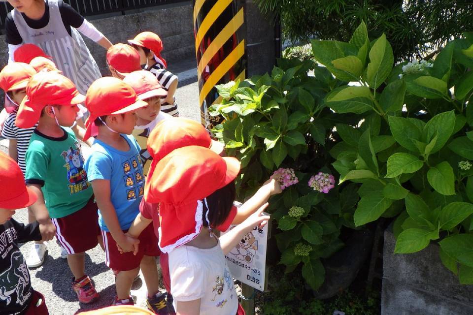 写真：植物観察中の子供たち