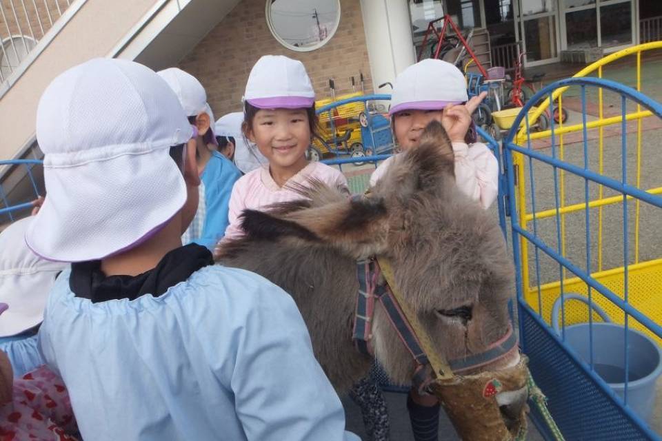 写真：ポニーと遊ぶ子供たち