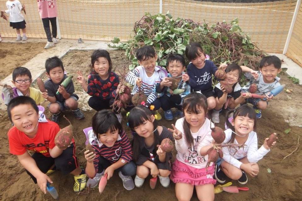 写真：芋ほりを楽しむ子供たち