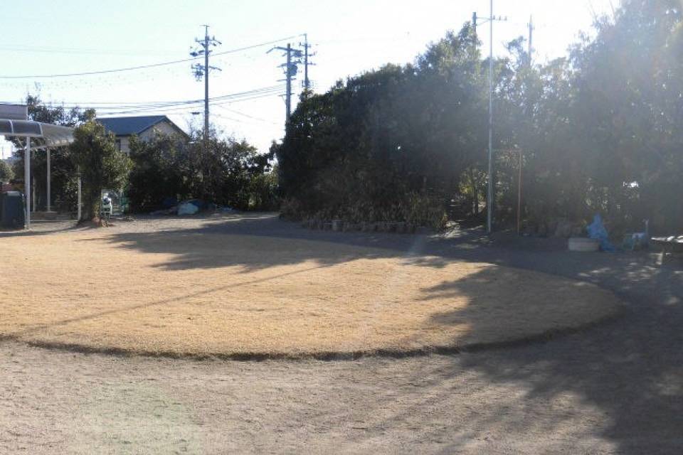 写真：園内芝生広場2