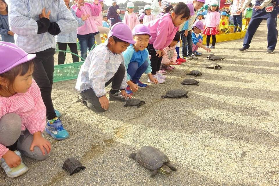 写真：亀と遊ぶ子供たち