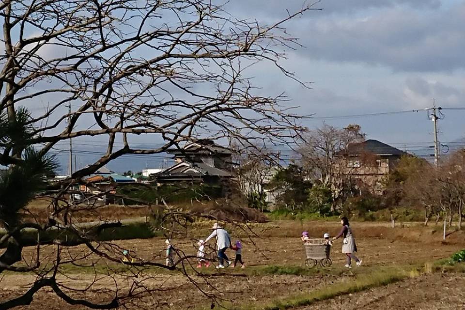 写真：畑を横切る園児と保育士