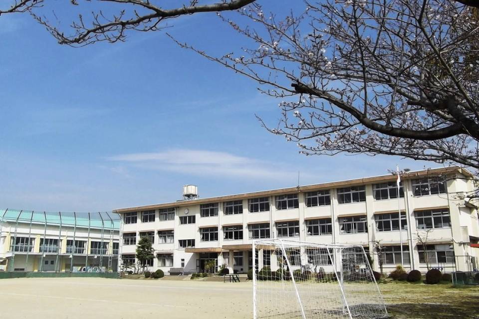 写真：井田川小学校全体