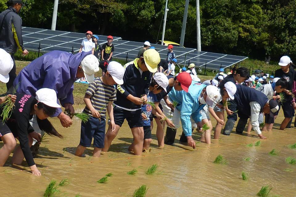 写真：田園風景と児童たち