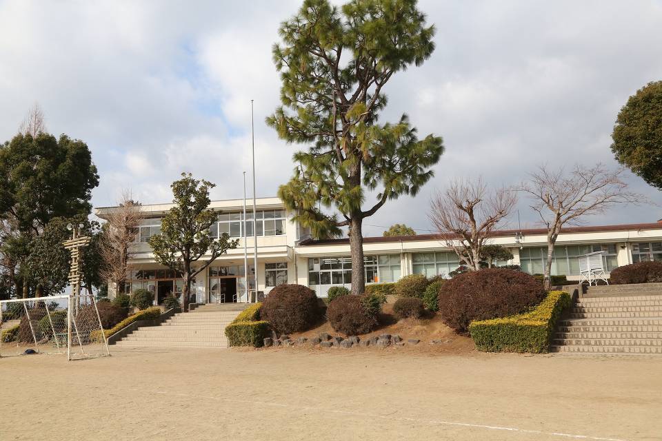 写真：緑豊かな学校2