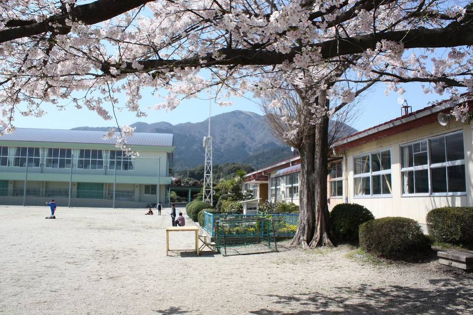 写真：椿小学校外観