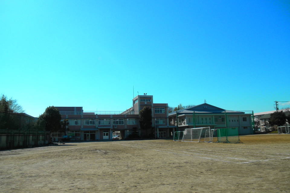 写真：白鳥中学校全体