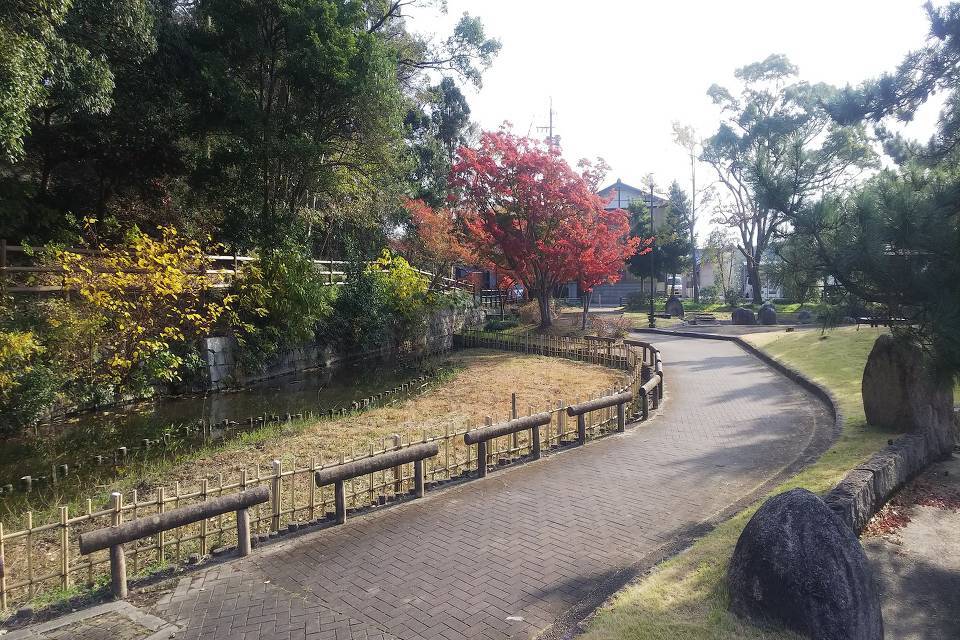 写真：散歩道