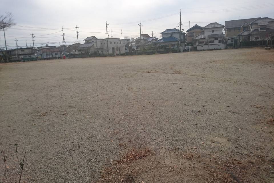 写真：桜島公園