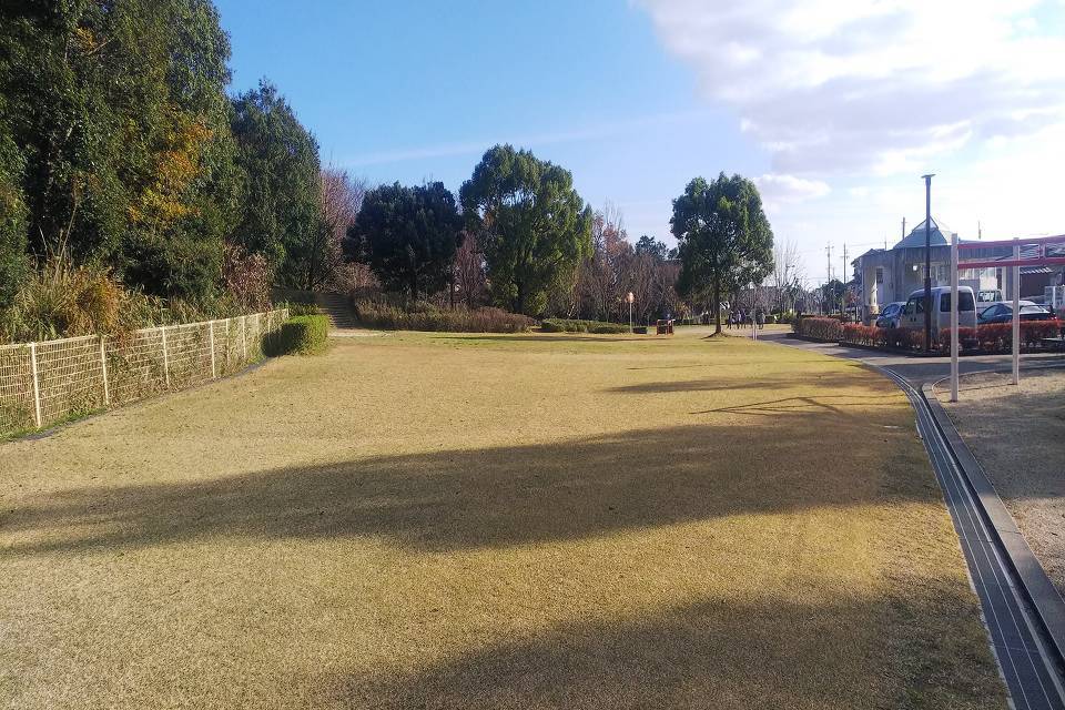 写真：芝生の広場