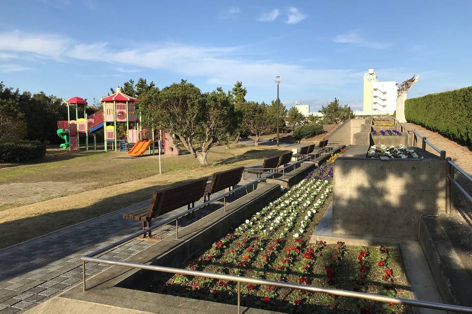 写真：花壇