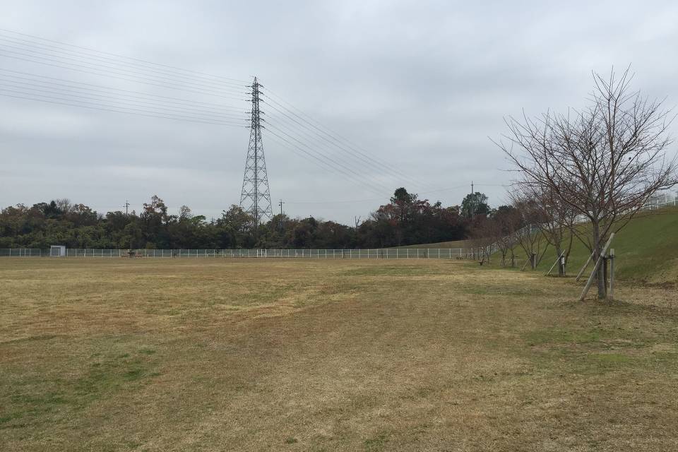 写真：芝生広場