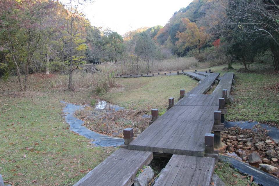 写真：自然散策路