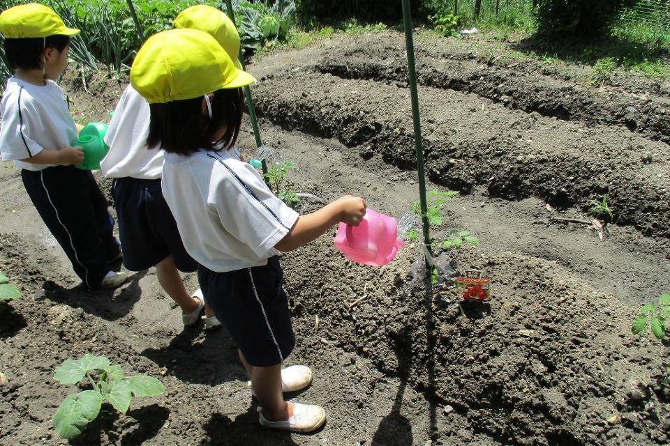 写真：植物に水をあげる子供たち