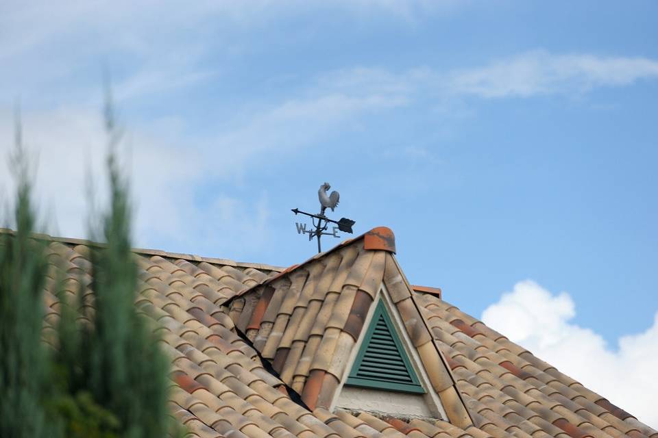 写真：屋根の風見鶏