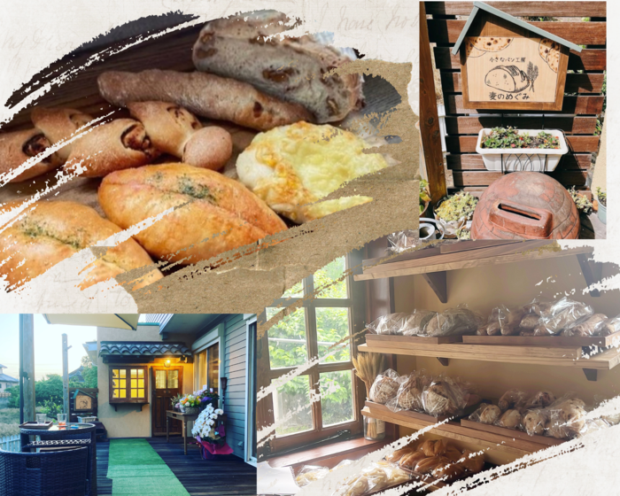 パン屋「麦のめぐみ」チラシ