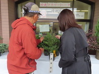 第54回植木まつり