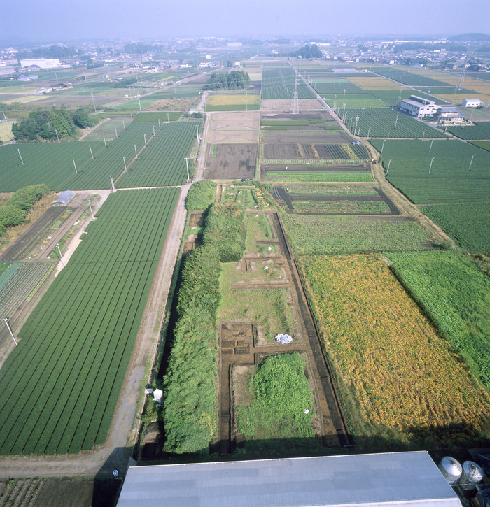 写真：伊勢国府跡（北方官衙）27次調査区　南北大路航空写真