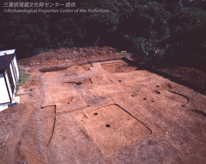 写真：国立療養所遺跡　調査区全景